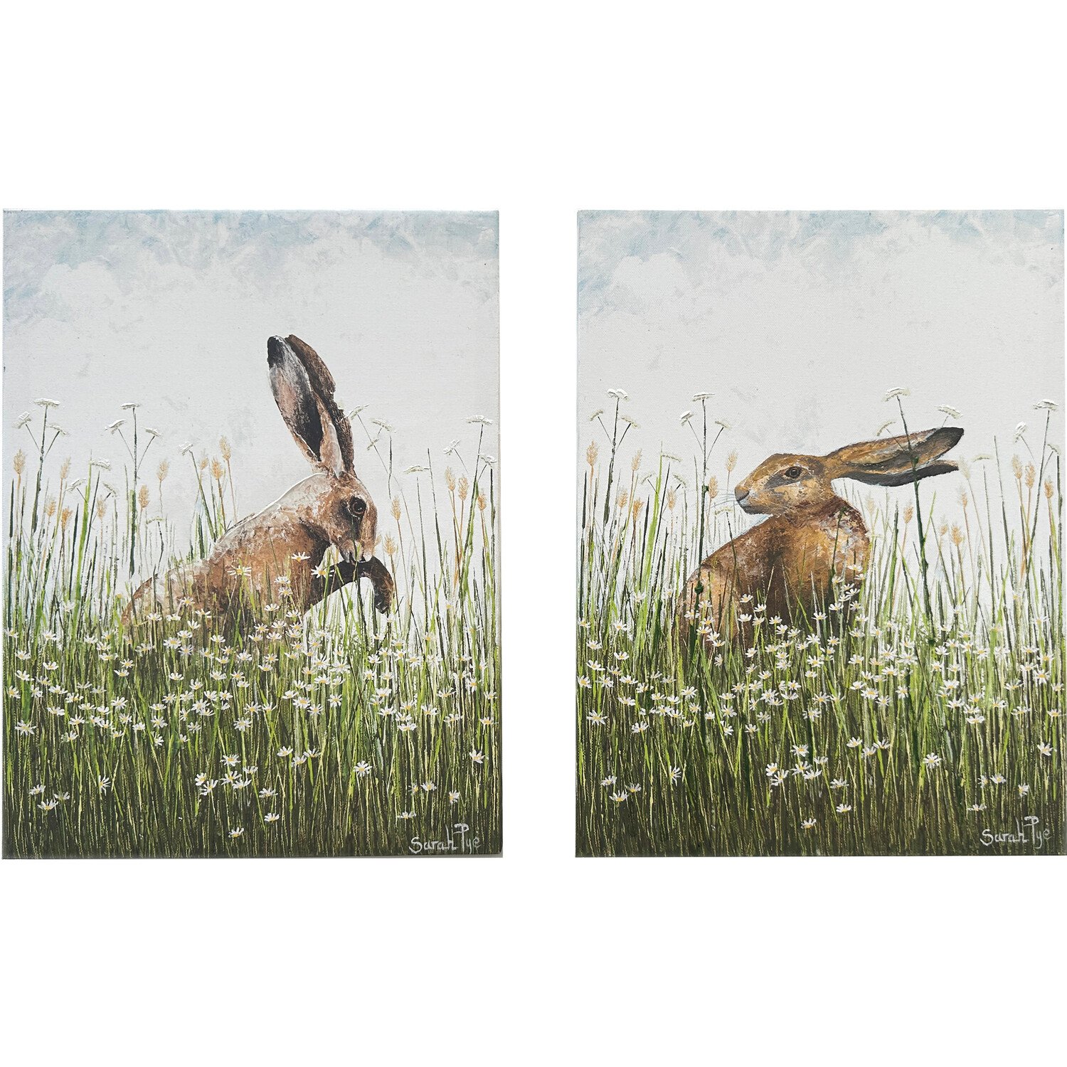 Spring Meadow Hares Canvas Image 1