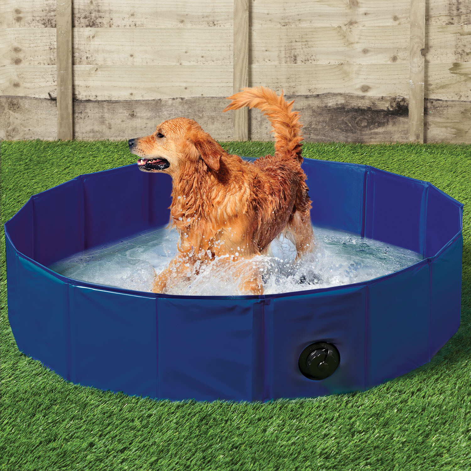 Clever Paws Doggy Pool 140cm Image