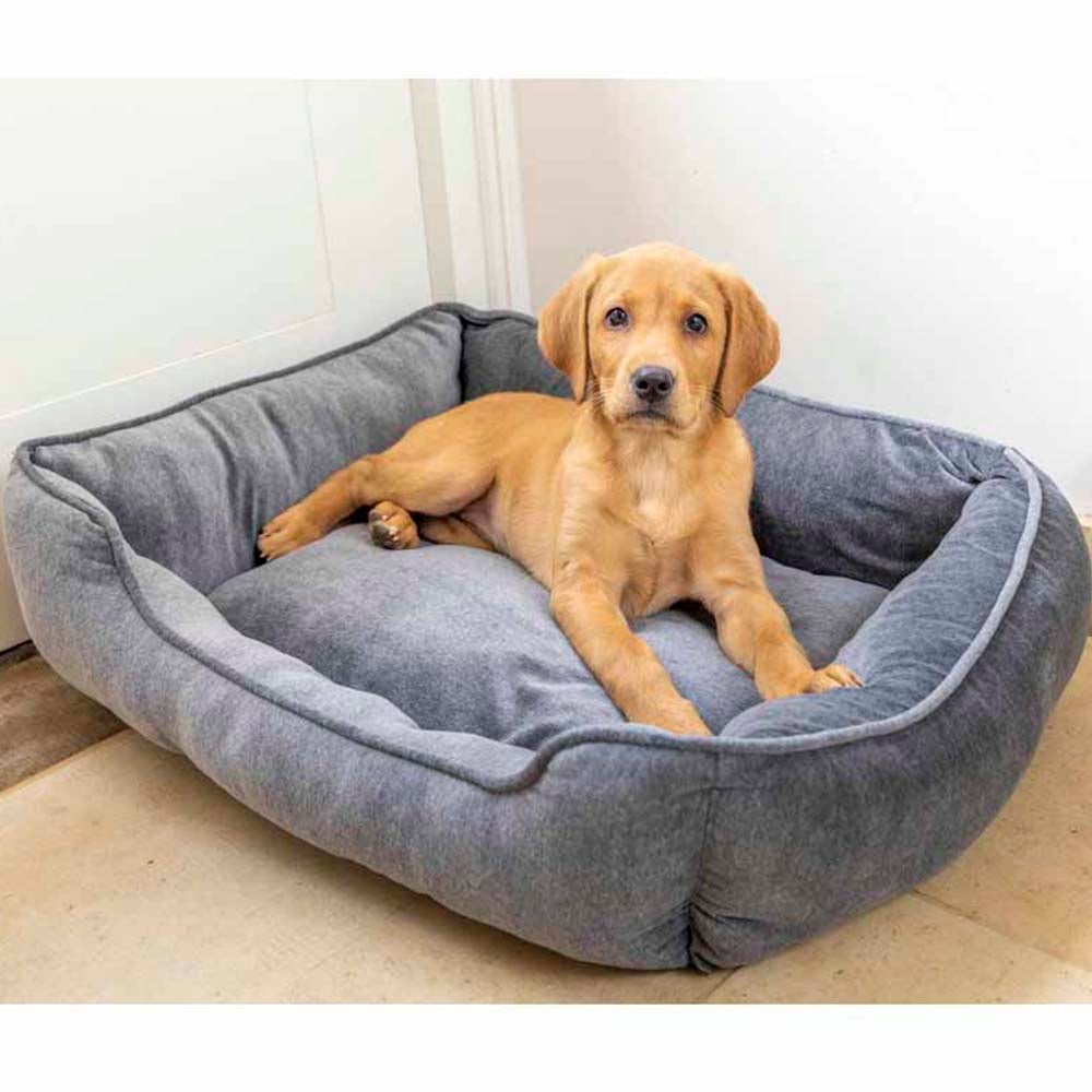 House Of Paws Grey Velvet Square Dog Bed Small Image 3