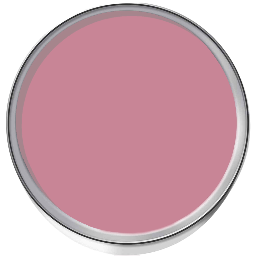 StoneCare4U Essential Walls & Ceilings Smooth Pink Anti Condensation Paint 5L Image 3
