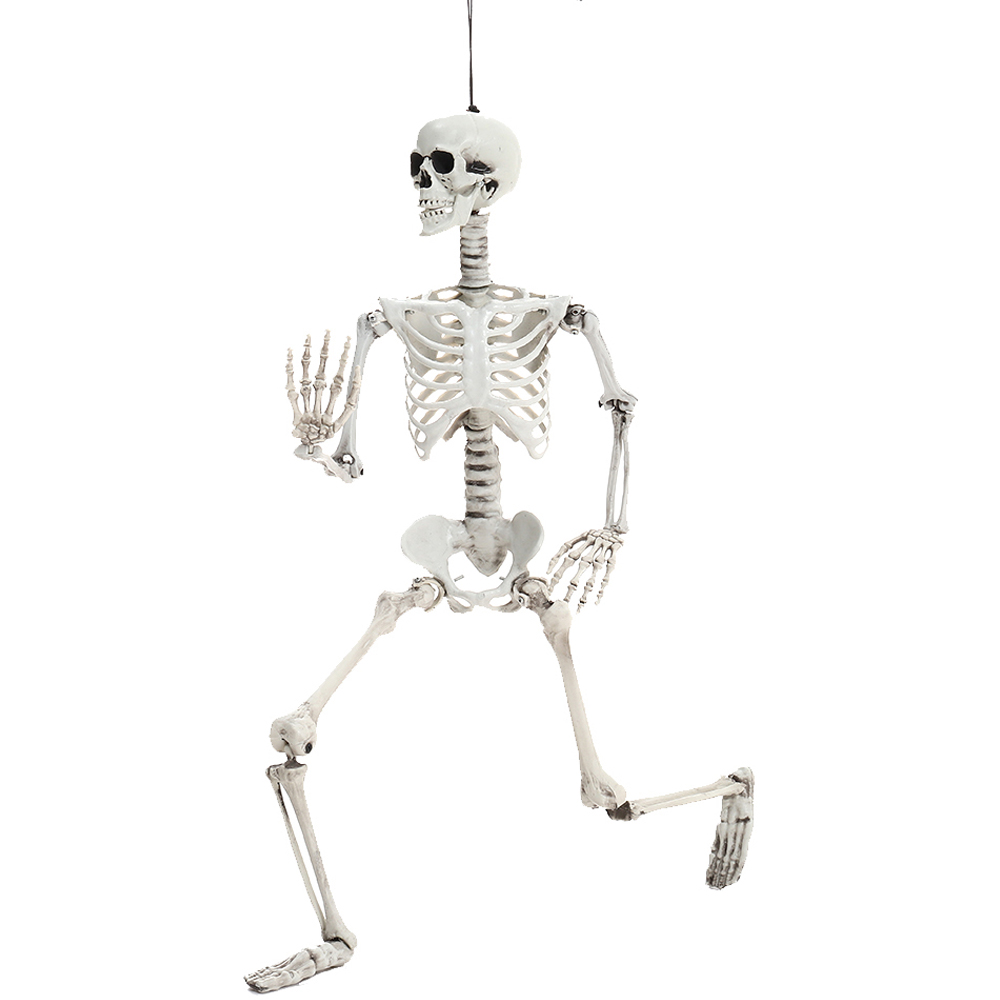 Living and Home Halloween Poseable Human Skeleton 90cm Image 3