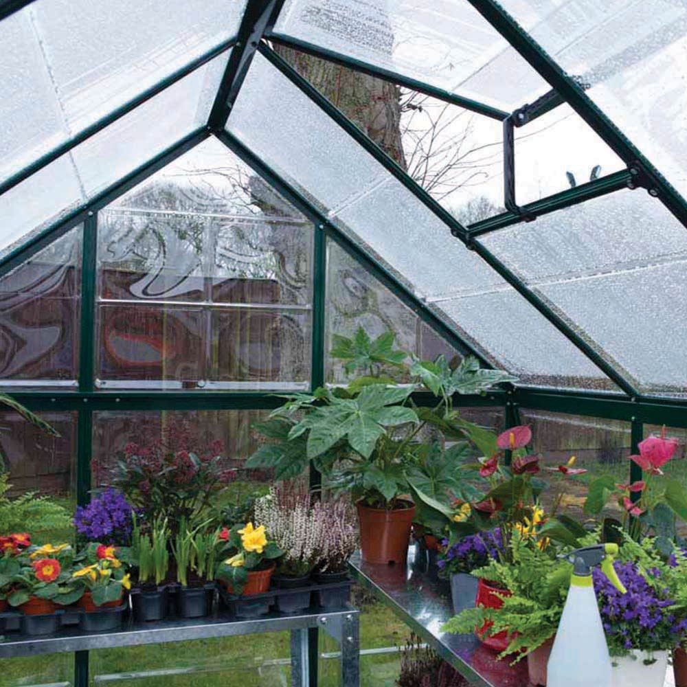 Palram Canopia Harmony Green Polycarbonate 6 x 10ft Greenhouse Image 7