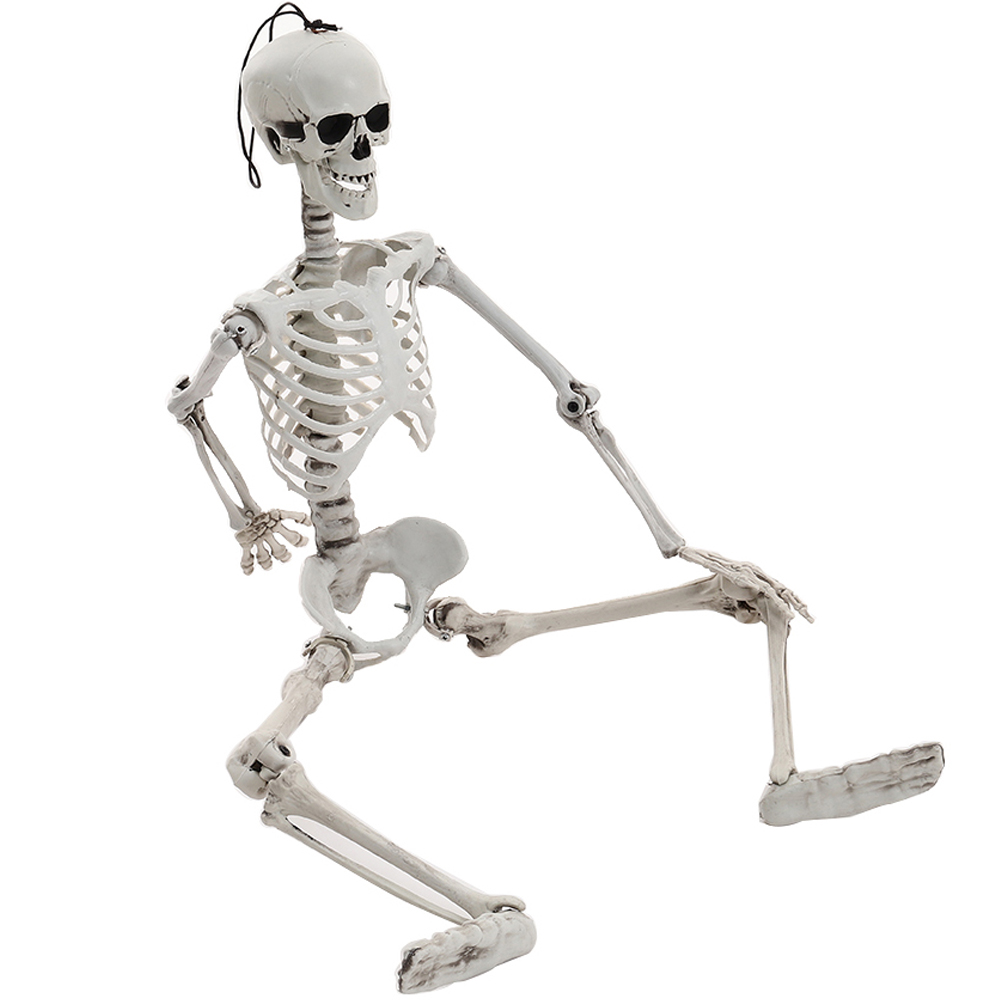 Living and Home Halloween Poseable Human Skeleton 90cm Image 4