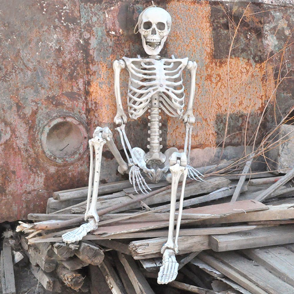 Living and Home Halloween Poseable Human Skeleton 90cm Image 2