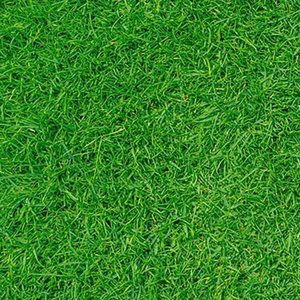 Pro-Kleen Autumn Lawn Feed Granule 2.5kg 2 Pack Image 2