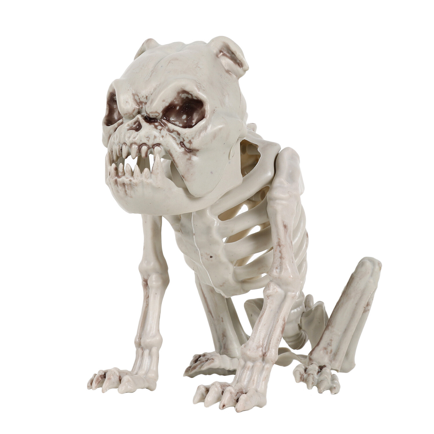 Skeleton Bulldog - White Image 2