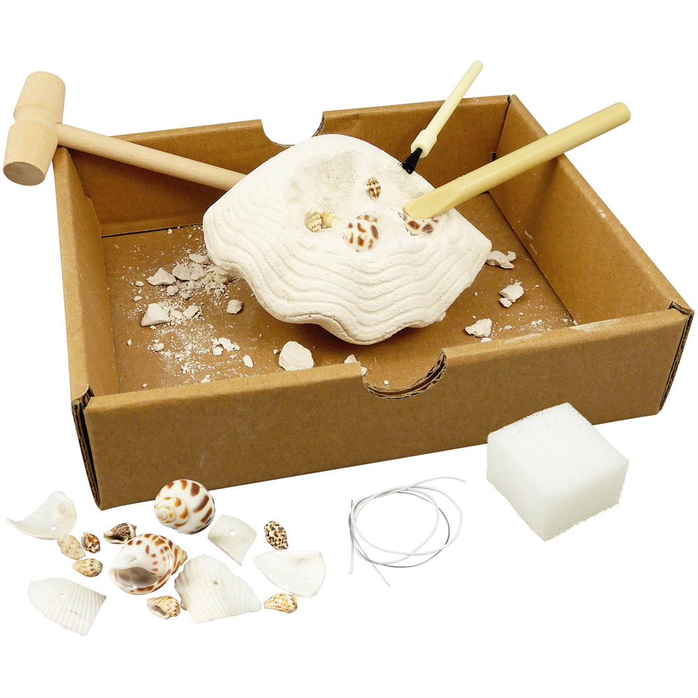 Robbie Toys Dig Kit Coquillages Shells Image 4