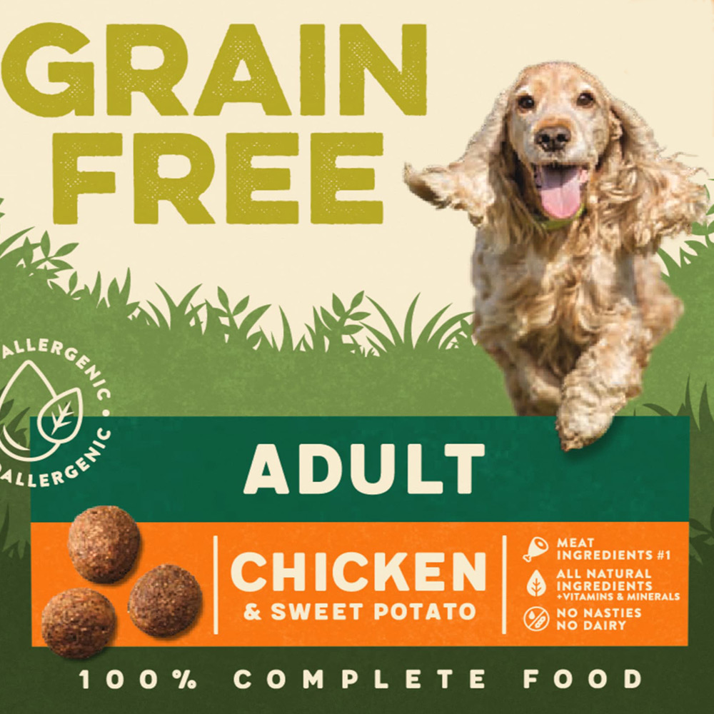 Harringtons Grain Free Chicken and Sweet Potato Dog Food 1kg Image 3