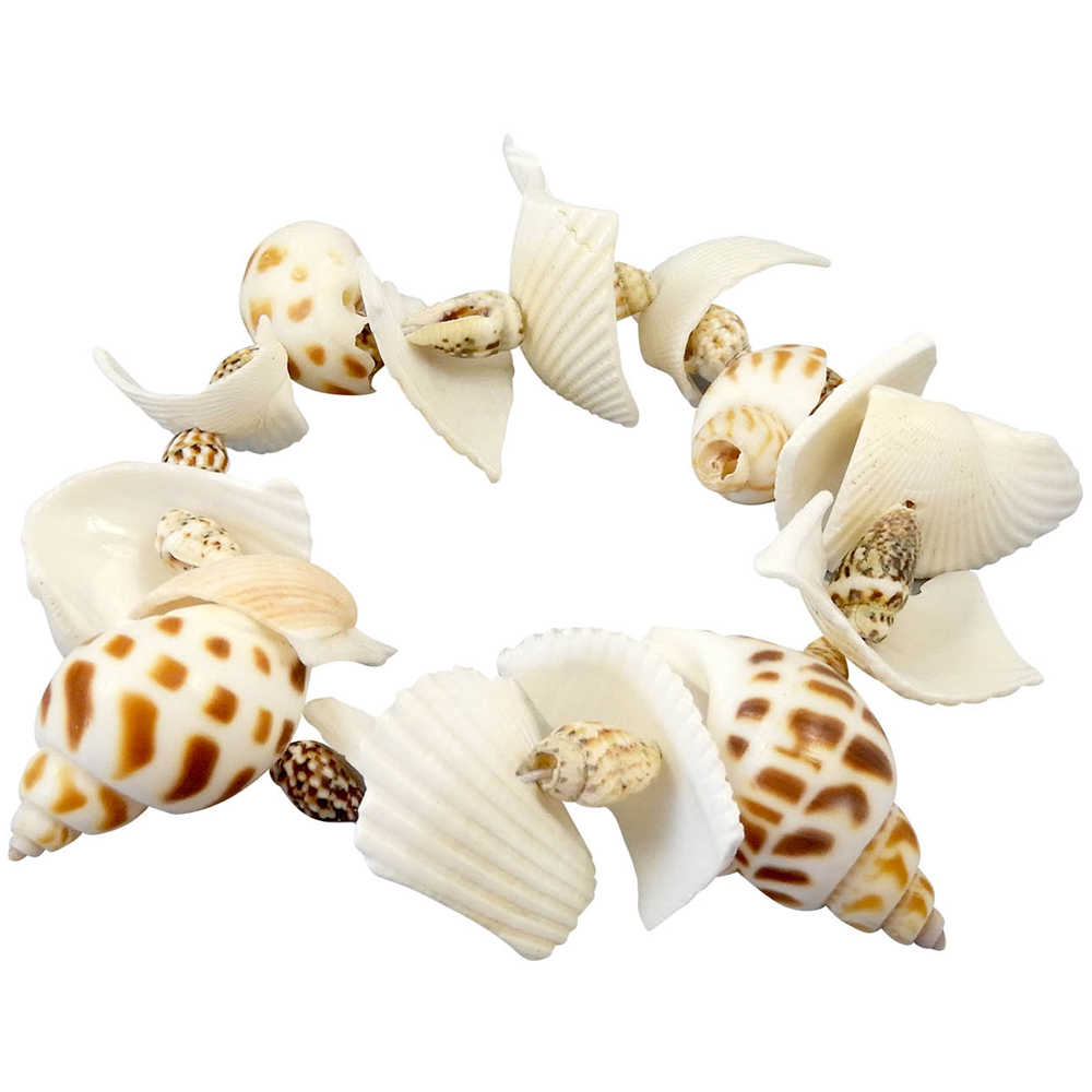 Robbie Toys Dig Kit Coquillages Shells Image 2