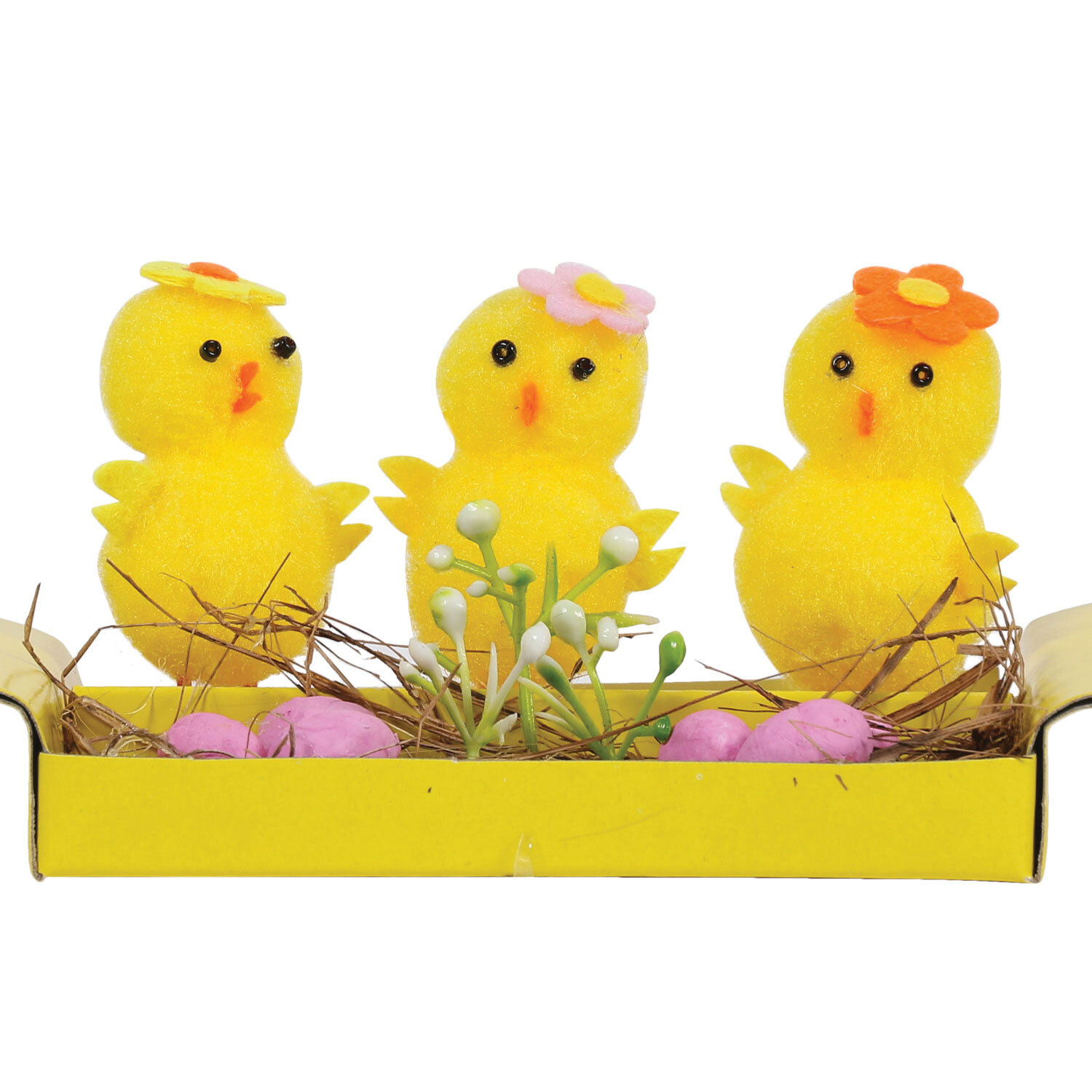 Chicks and Eggs Image