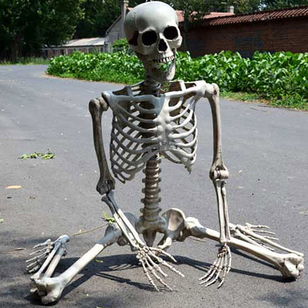 Living and Home Halloween Poseable Human Skeleton 90cm Image 5