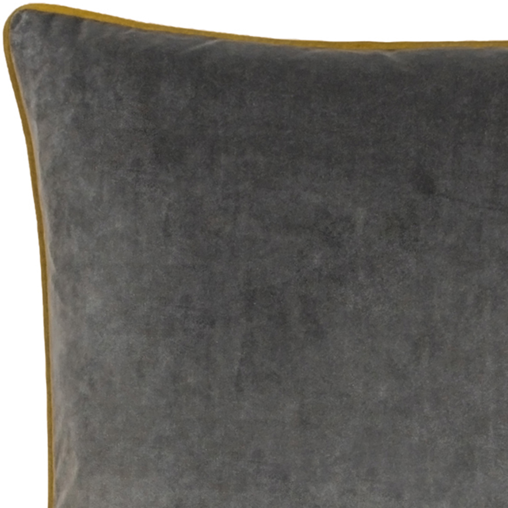 Paoletti Meridian Charcoal Moss Velvet Cushion Image 2