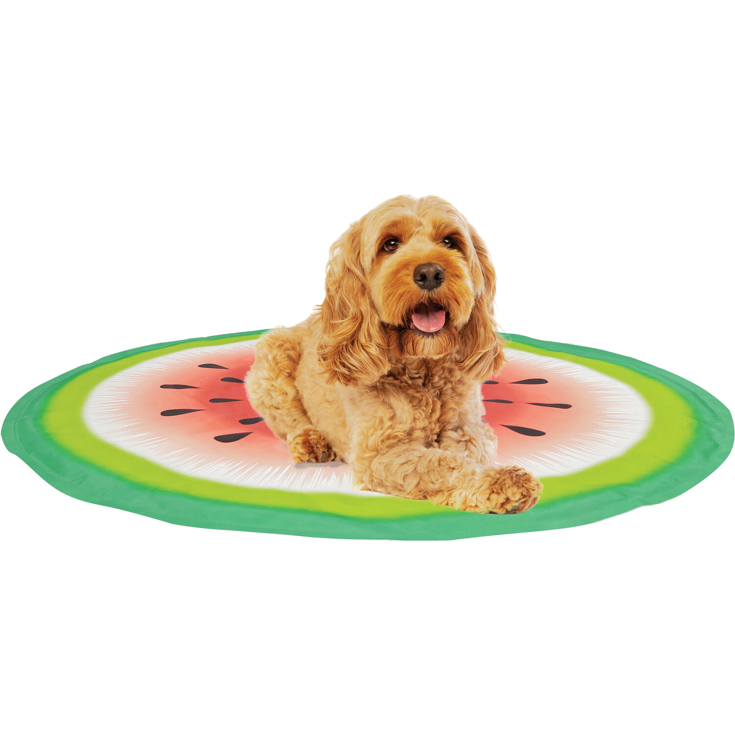 Clever Paws Watermelon Fruit Pet Cooling Mat Image 3
