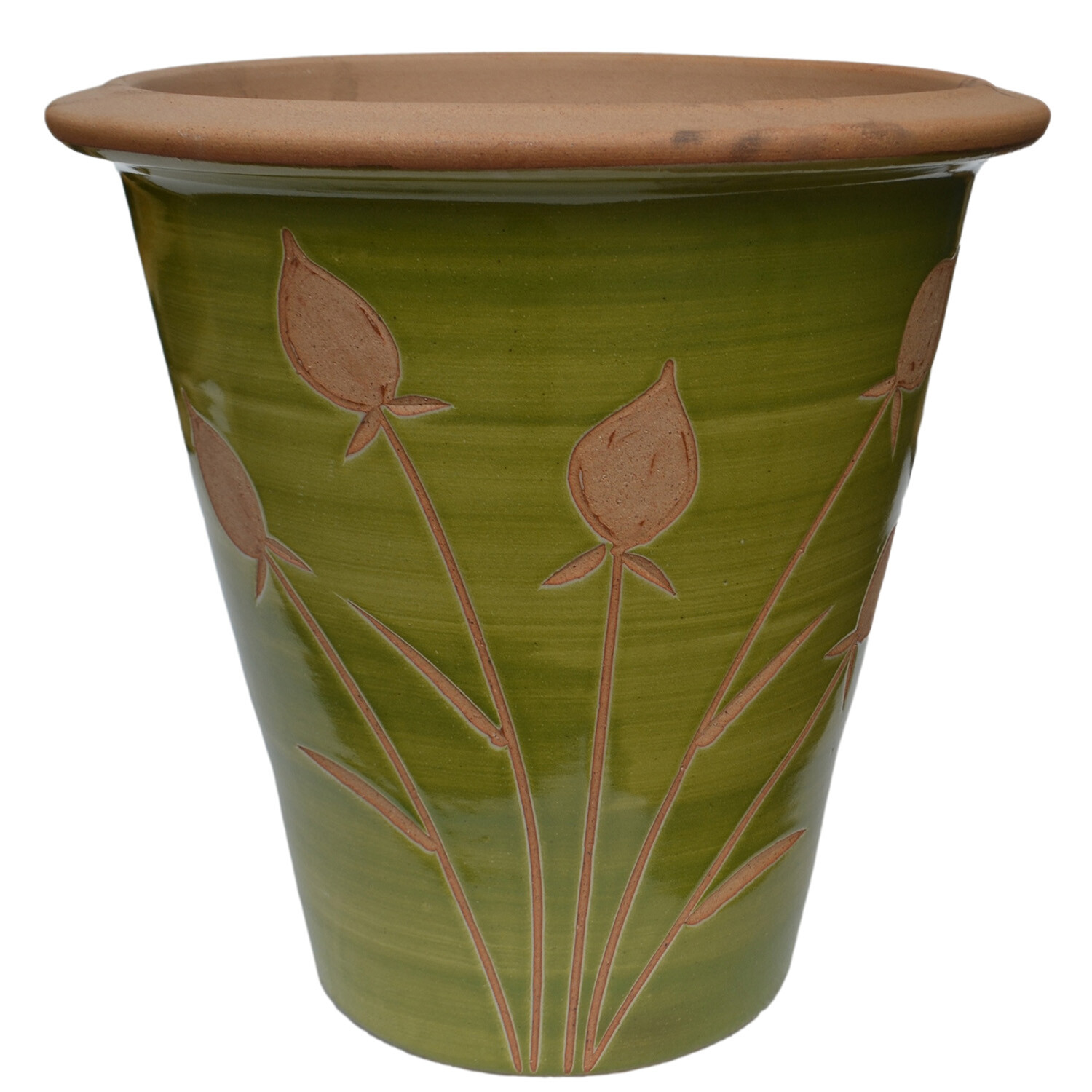 Baron Tulip Pot - Green Image
