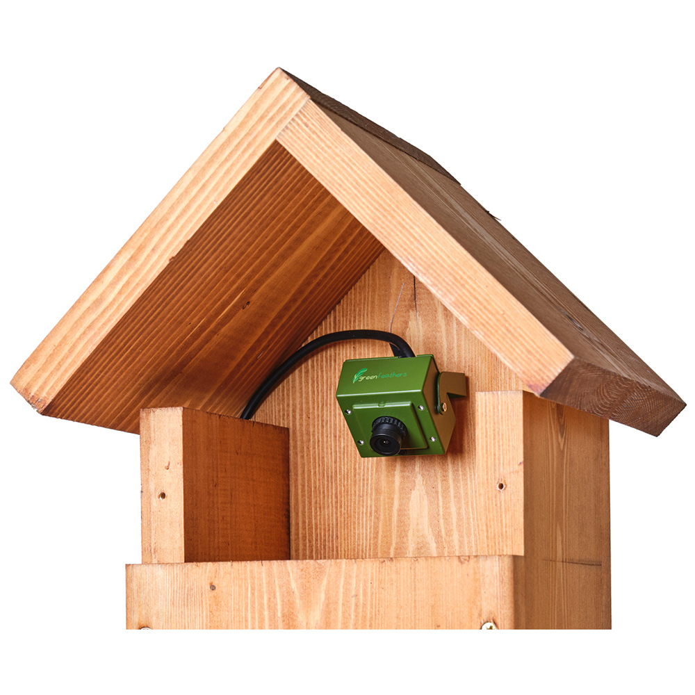 Green Feathers Bird Box Camera with Wireless Transmission Image 2