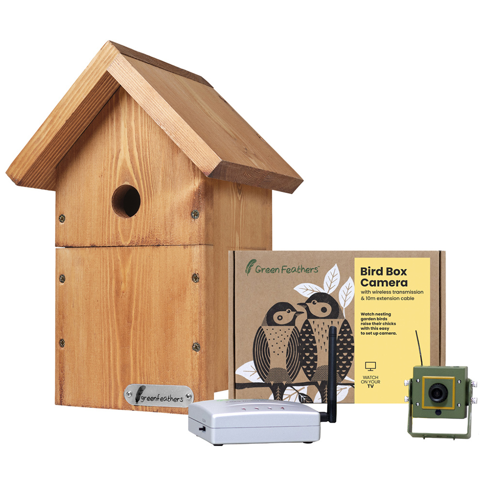 Green Feathers Bird Box Camera with Wireless Transmission Image 1