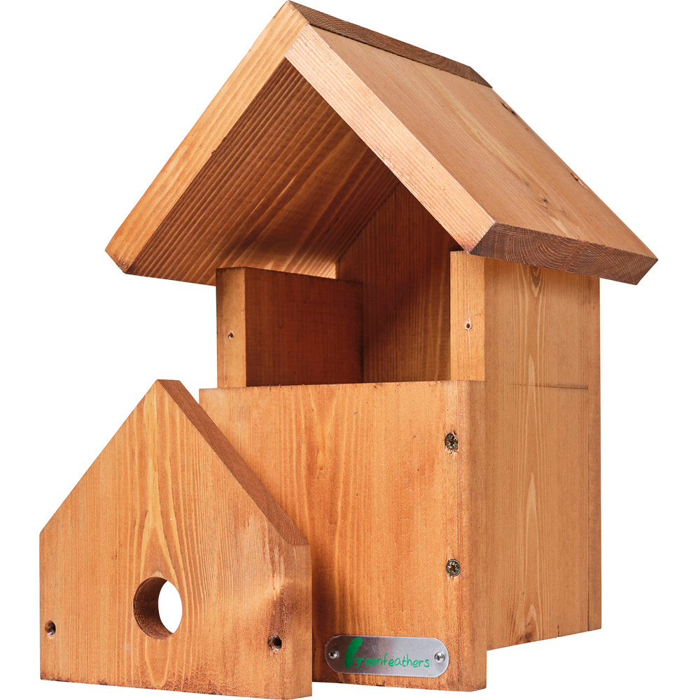 Green Feathers Bird Box Camera with Wireless Transmission Image 3