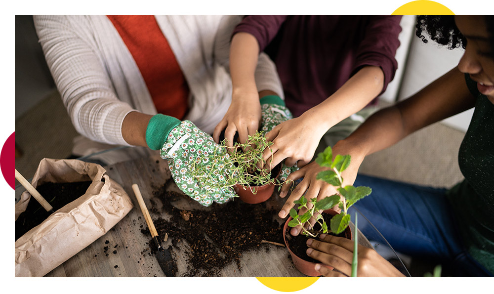 Top tips for gardening with kids
