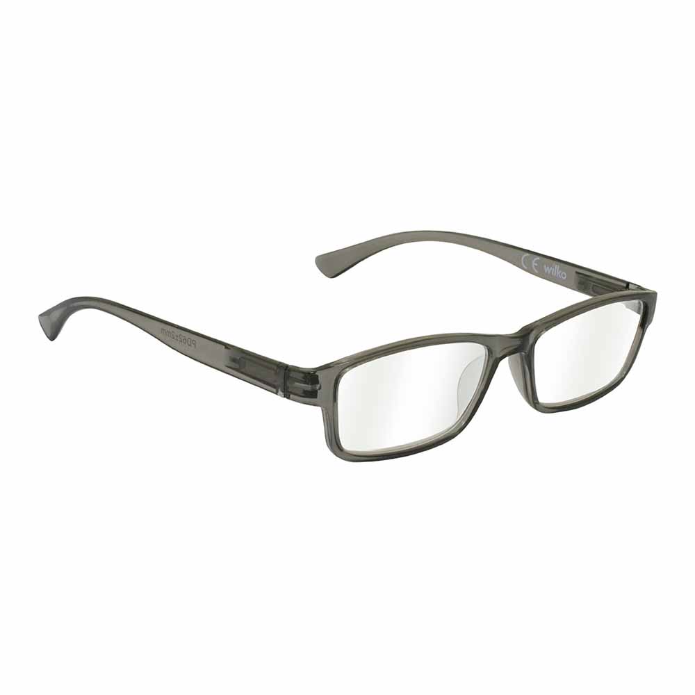 Plastic Reading Glasses 2.5 Image 1