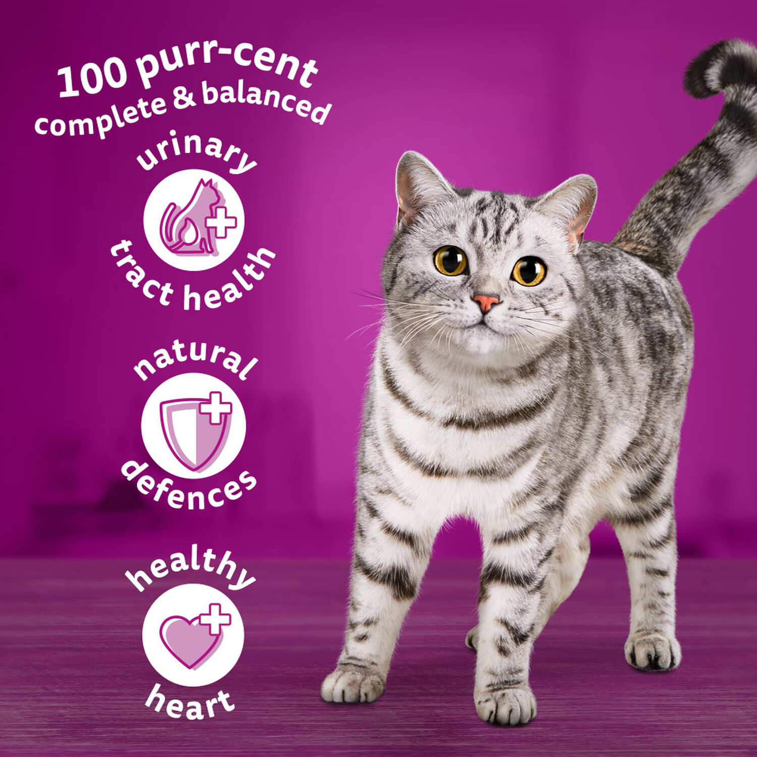 Whiskas Complete 1 Plus Dry Cat Food with Tasty Lamb 1.9kg Image 6