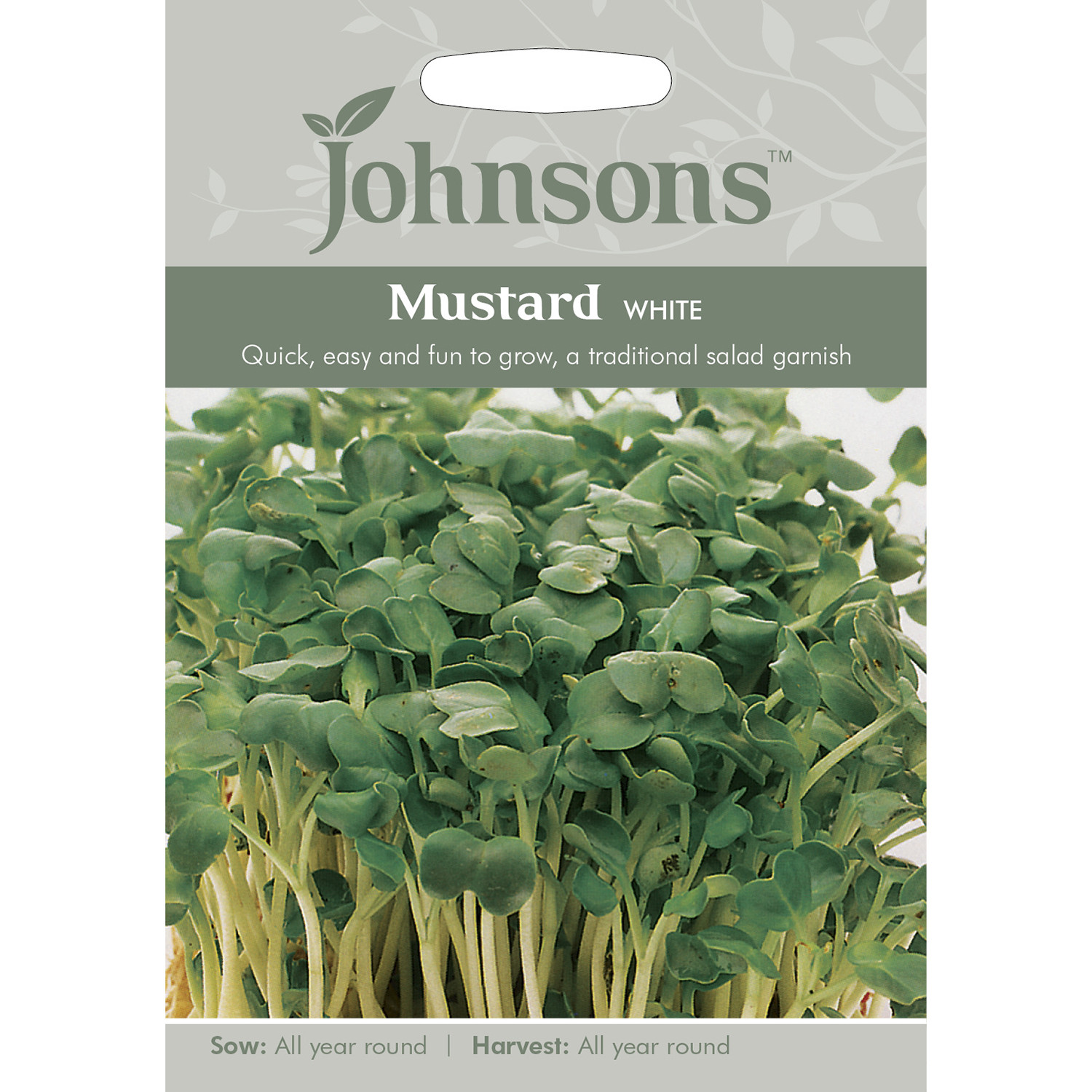 Johnsons White Mustard Herb Seeds Image 2