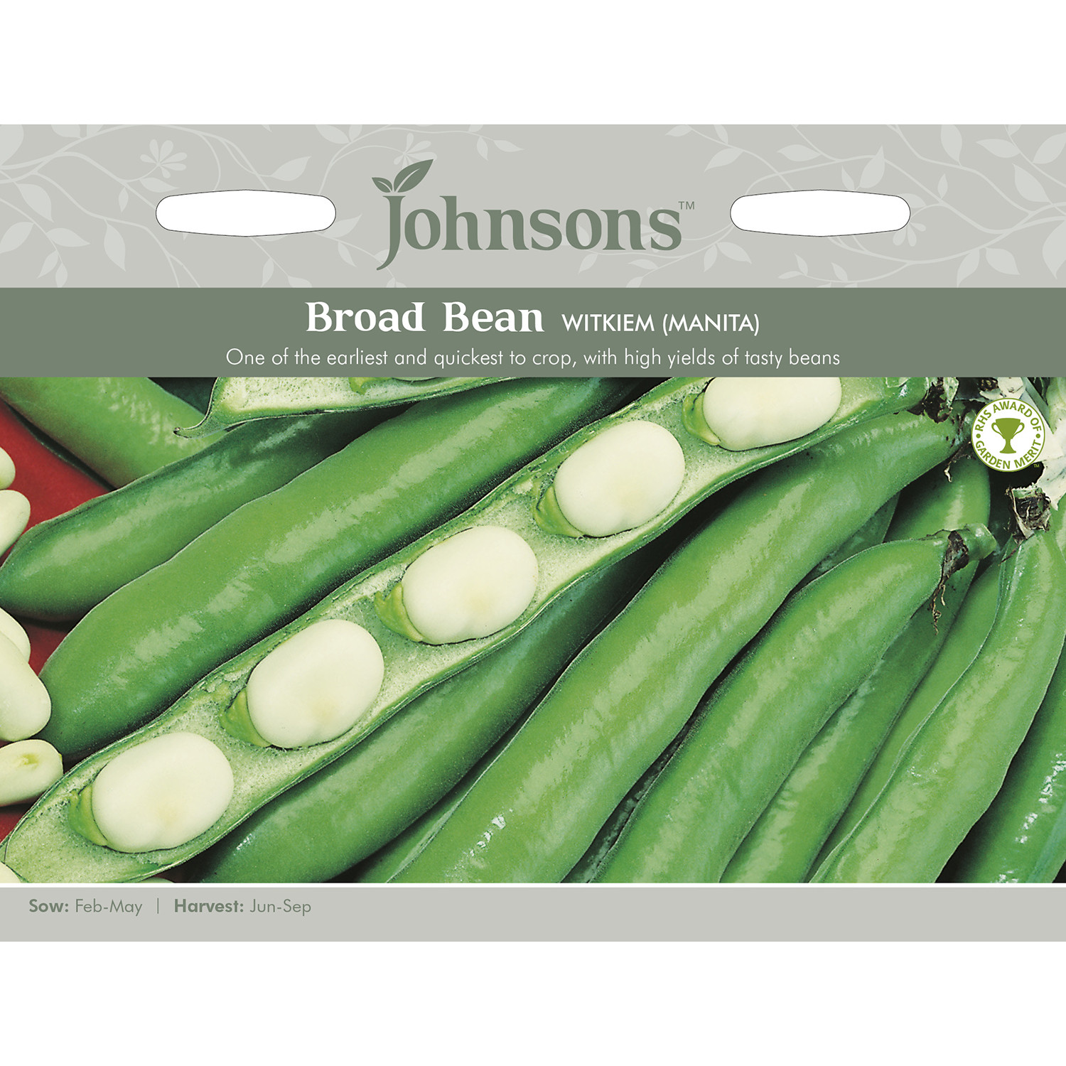 Johnsons Witkiem Manita Broad Bean Seeds Image 2