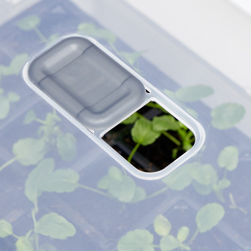 Clever Pots Easy Water Propagator Lid Image 6