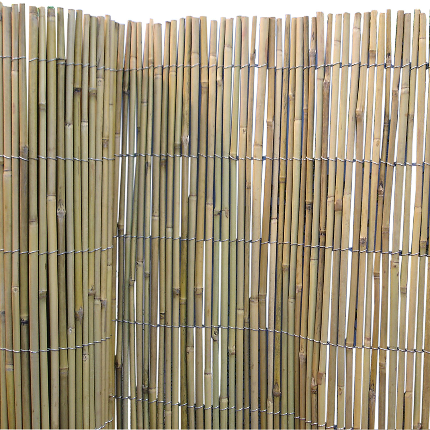 1.5m Natural Bamboo Screening Image
