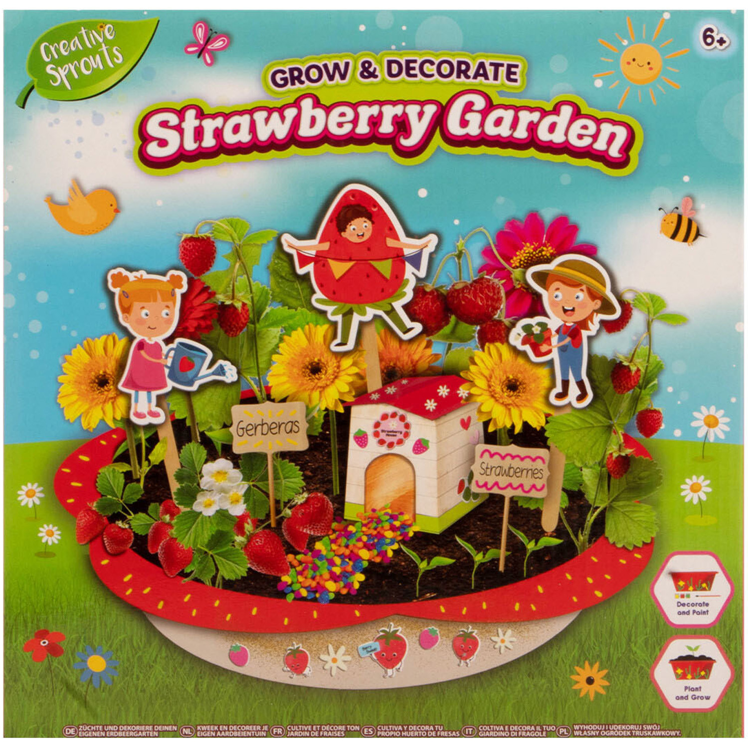 Grow and Decorate Strawberry Garden Image