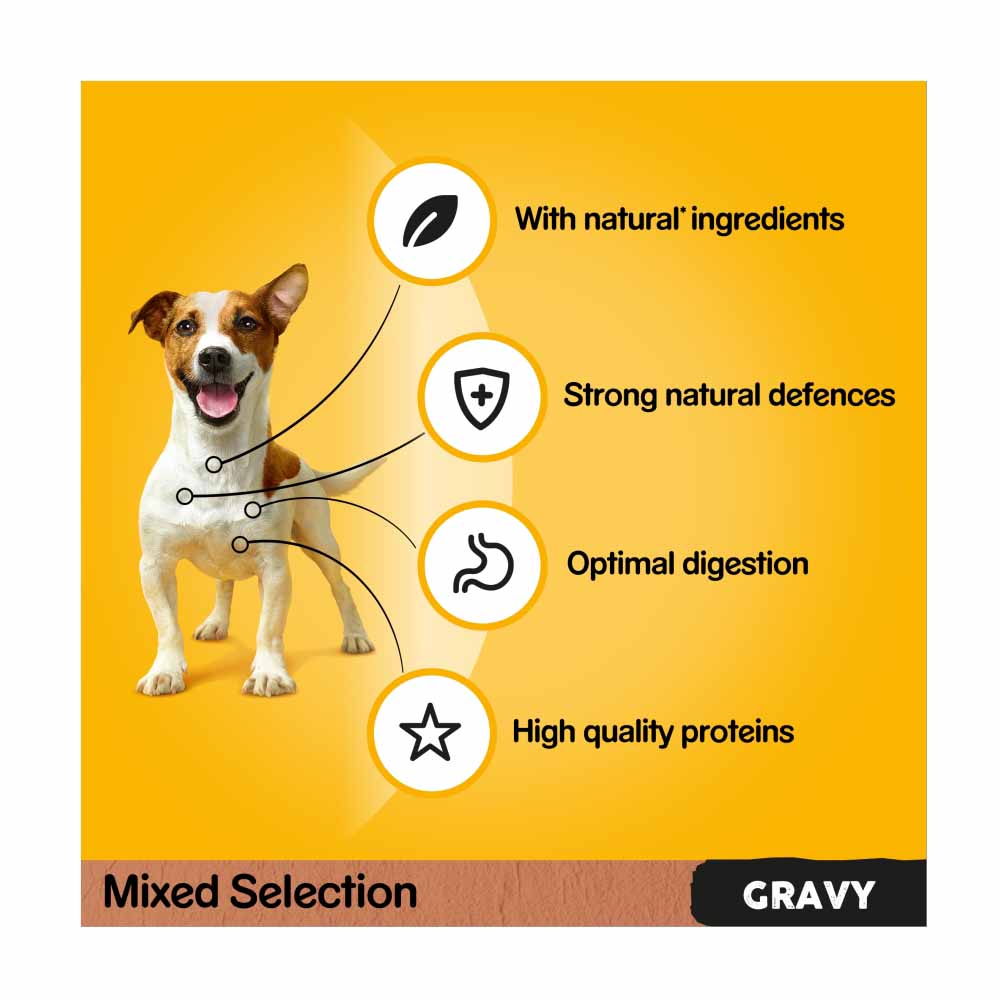 Pedigree Adult Wet Dog Food Pouches Mixed in Gravy Mega Pack 40 x 100g Image 3