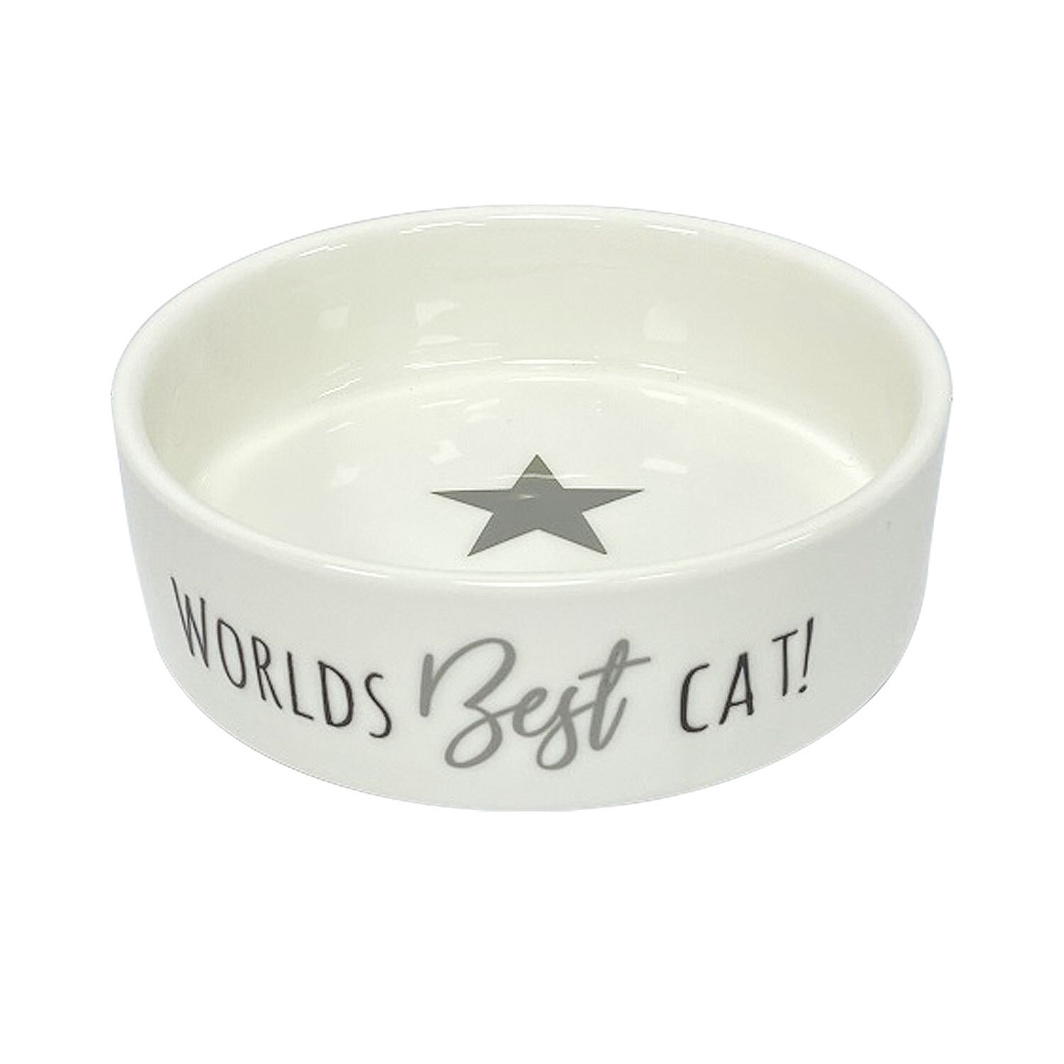 Single Clever Paws World's Best Cat Bowl in Assorted styles Image 2