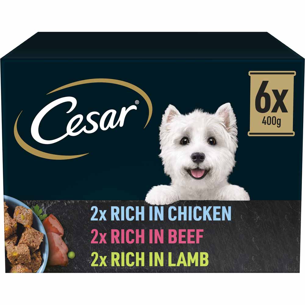Cesar Natural Goodness Adult Wet Dog Food Tins Mixed In Loaf 6 x 400g Image 1