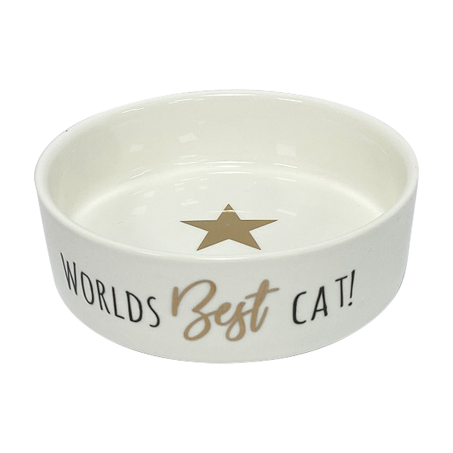 Single Clever Paws World's Best Cat Bowl in Assorted styles Image 1