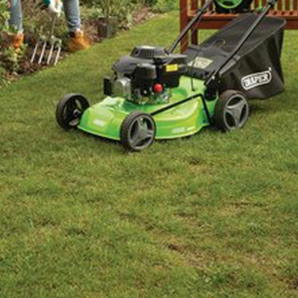 Draper 58567 132cc 390mm Petrol Lawn Mower Image 2
