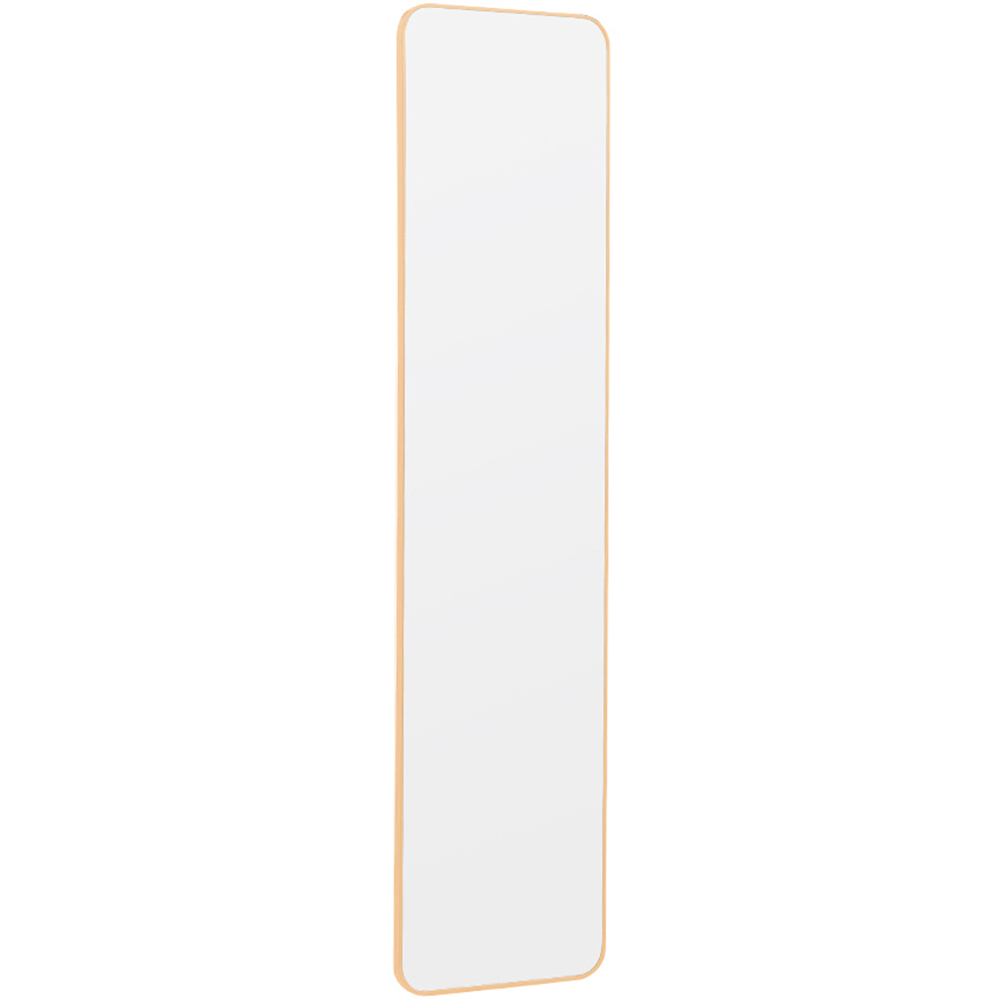 Living and Home Gold Frame Full Length Door Mirror 28 x 118cm Image 4