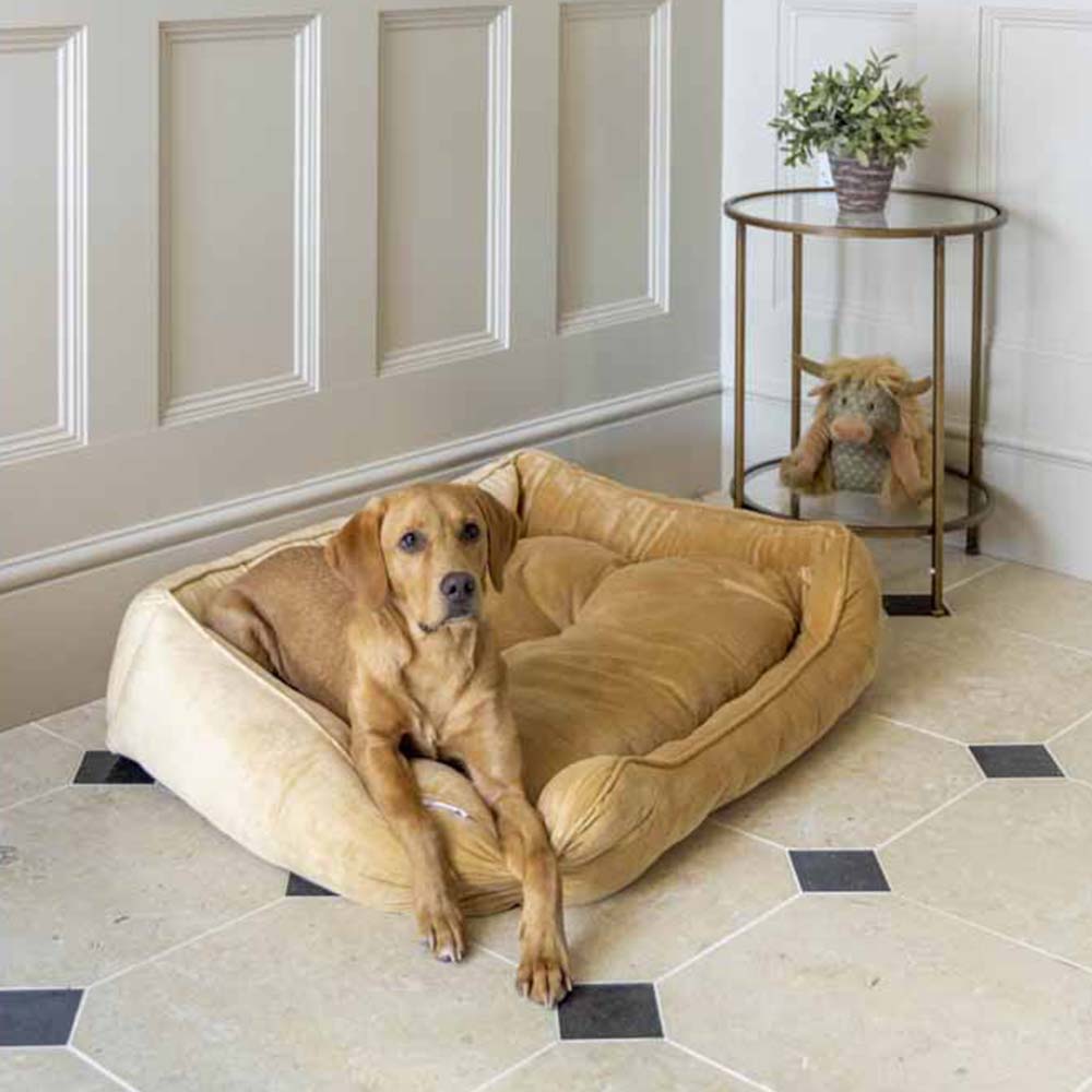House Of Paws Mustard Velvet  Square Dog Bed Large Image 3