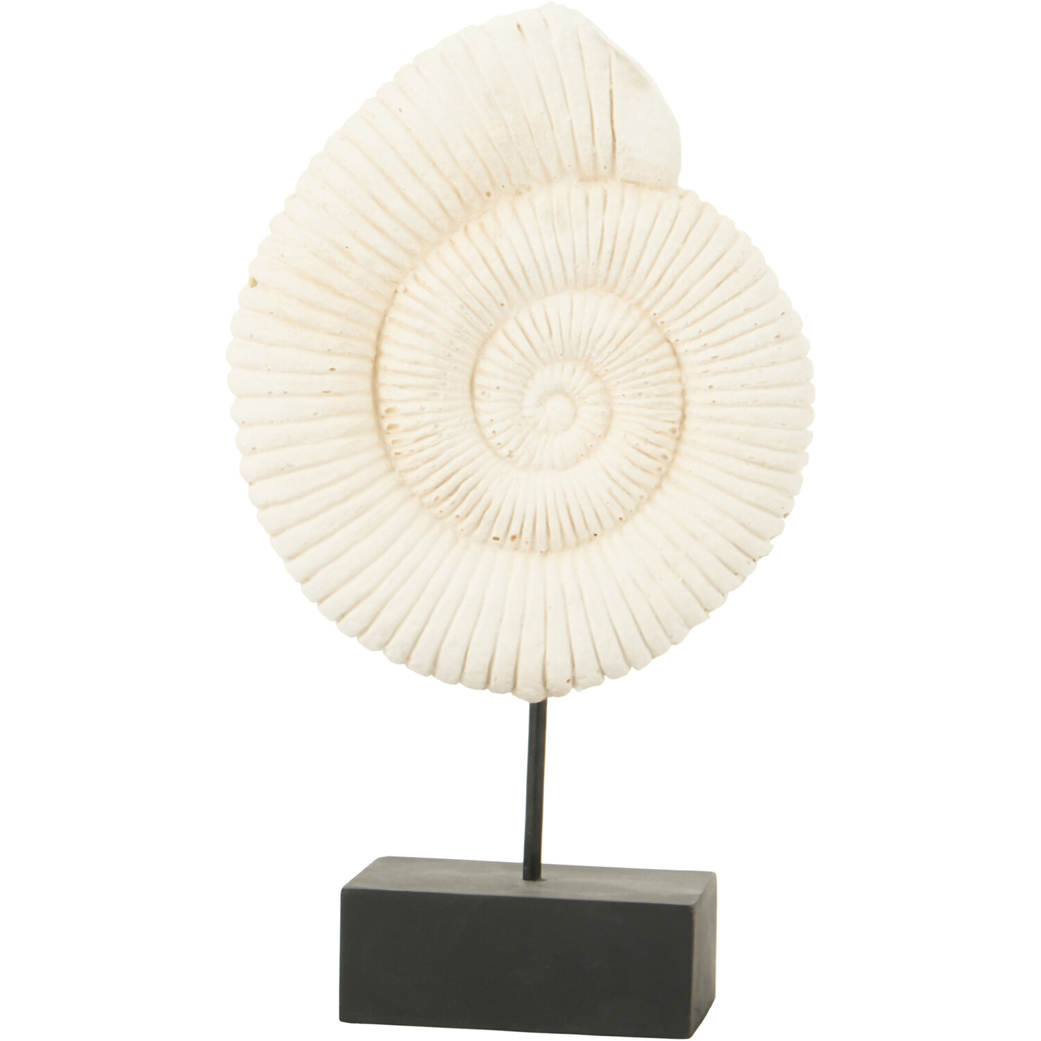 Mari Shell Ornament - White Image 1