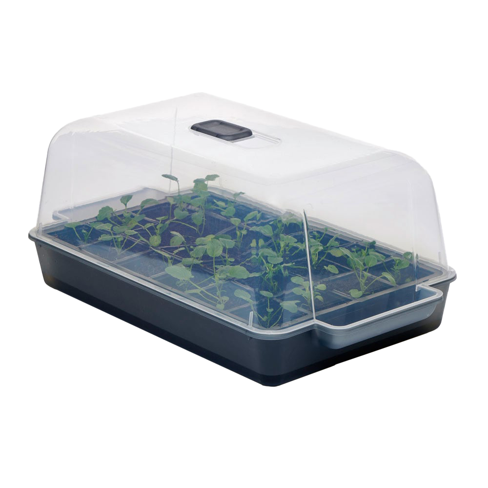 Clever Pots Easy Water Propagator Lid Image 5
