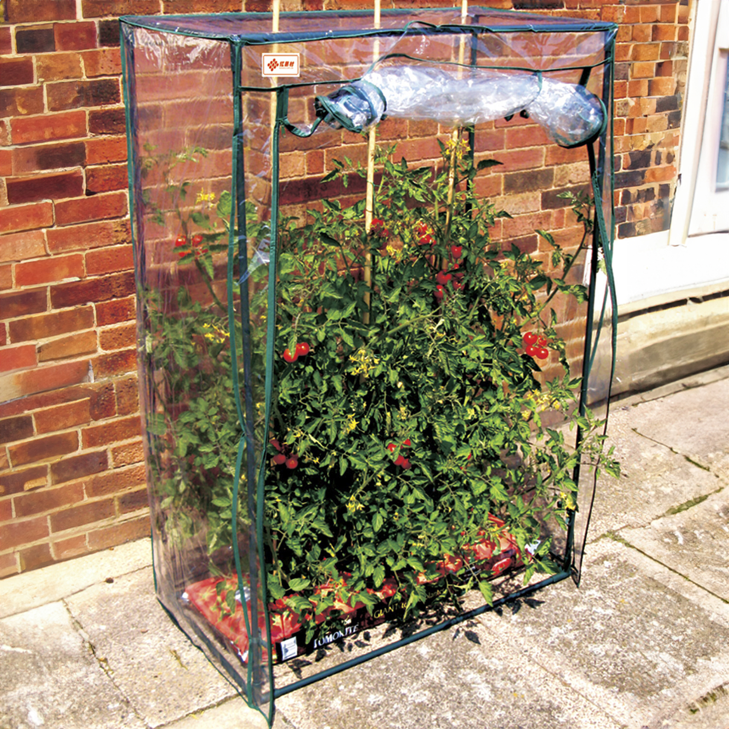 My Garden PVC Cover 3.3 x 1.6ft Tomato Greenhouse Image