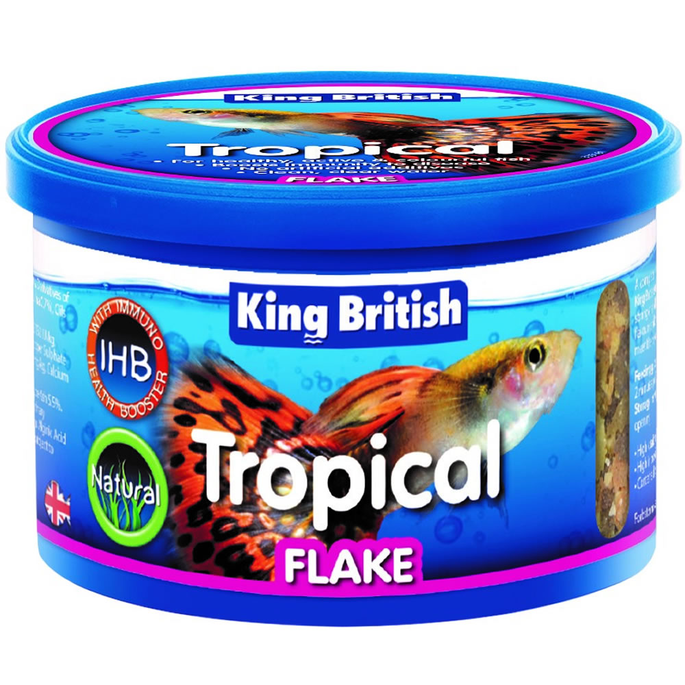 King British Tropical Fish Food Flakes 28g Image