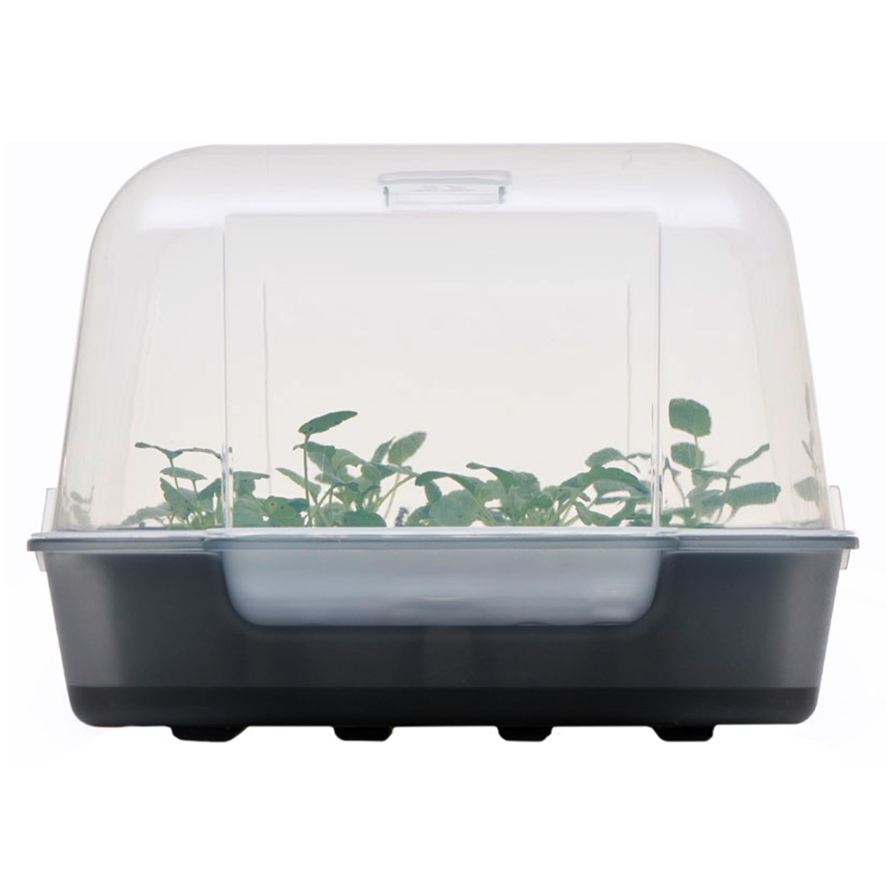 Clever Pots Easy Water Propagator Base Image 6