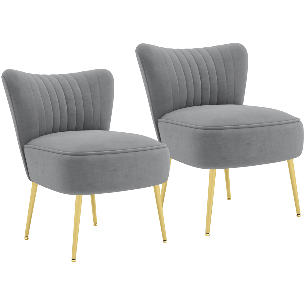 Portland Set of 2 Grey Velvet Touch Accent Chair Image 2