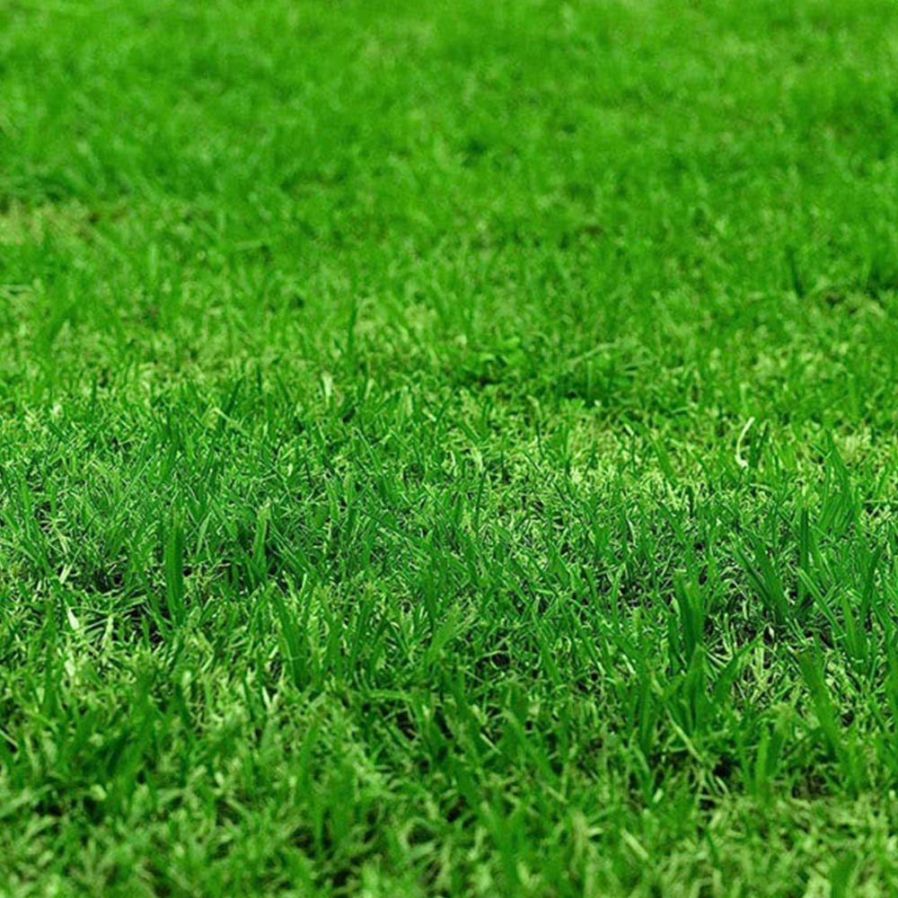 Pro-Kleen Autumn Lawn Feed Granule 2.5kg Image 6