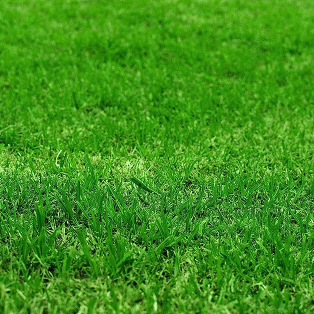 Ultimate Plus XP Grass Greening Superfood Granules 2.5kg Image 3