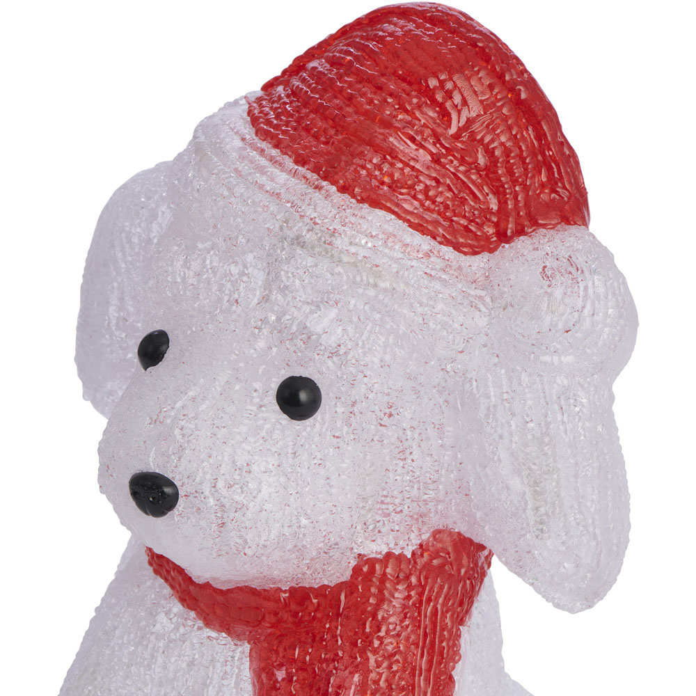 Wilko B/O Acrylic Light Up Pup with Hat Image 4