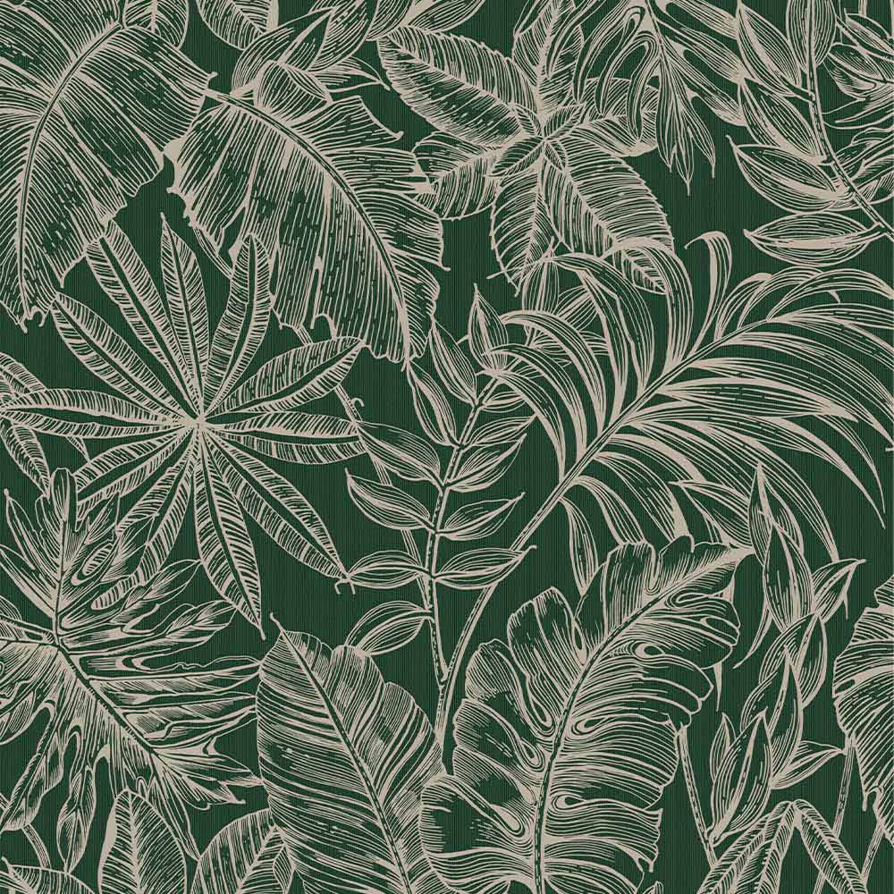 Superfresco Colours Tropic Archive Dark Green Wallpaper Image 1