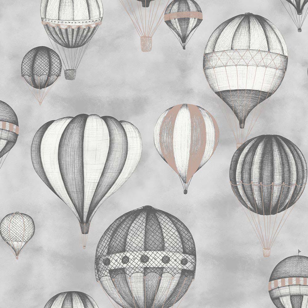 Sublime Balloon Fiesta Graphite Wallpaper Image 1