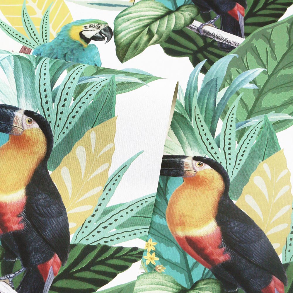 Arthouse Toucan Jungle Multicolour Wallpaper Image 2