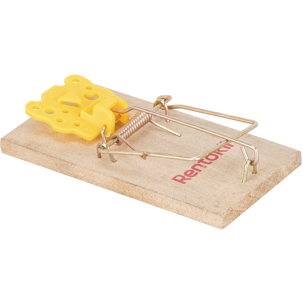 Wooden Mouse Trap Image 1