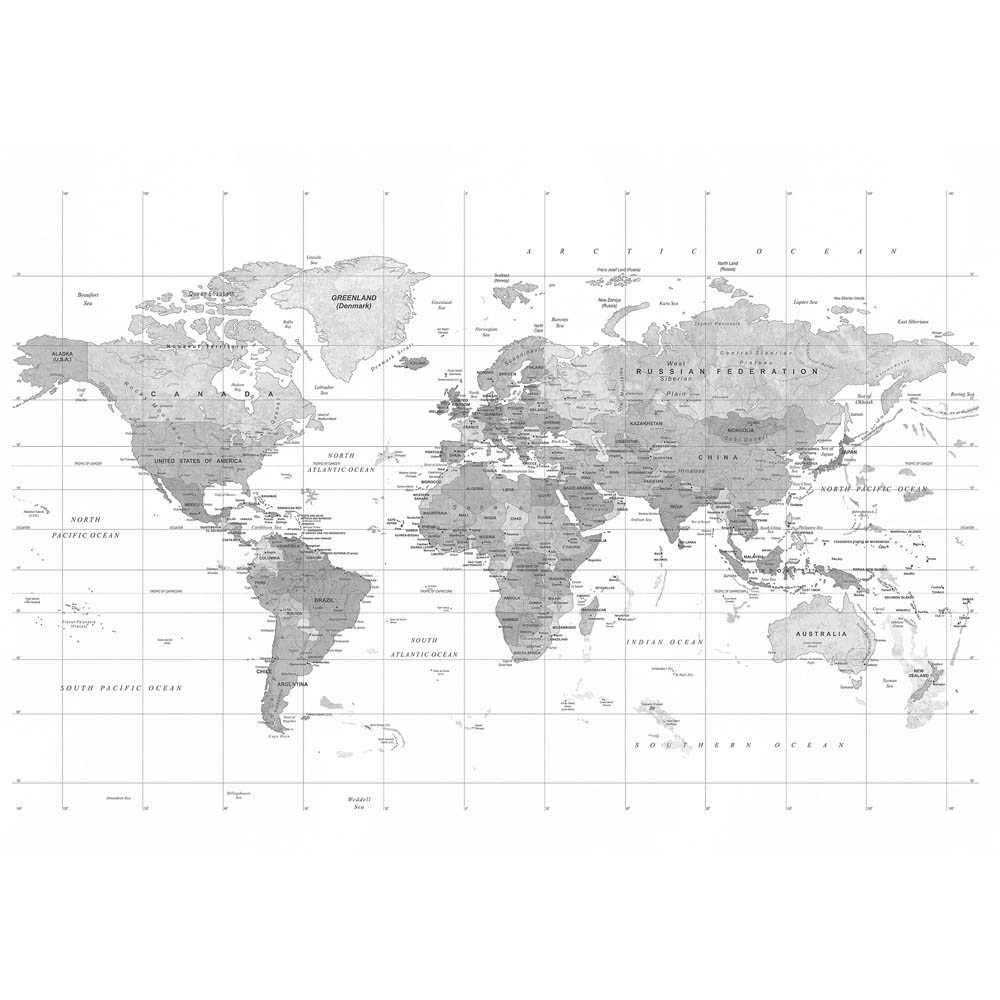 Grandeco World Map Textured Grey Wall Mural Image 2